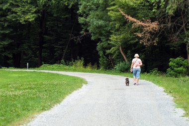 Bir köpek parkta yürüyen kadın