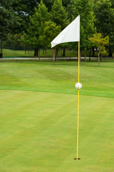 Bandera blanca en un campo de golf — Foto de Stock