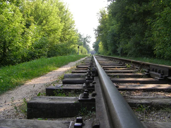 鉄道と緑の自然 — ストック写真