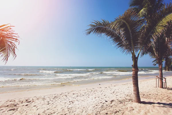Palme e spiaggia — Foto Stock