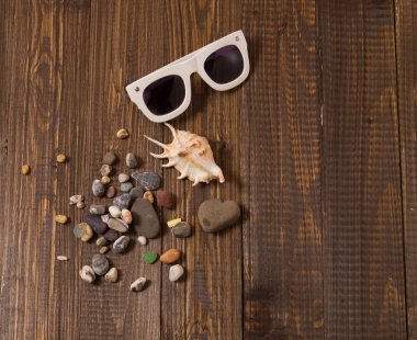 Kabukları ile güneş gözlüğü
