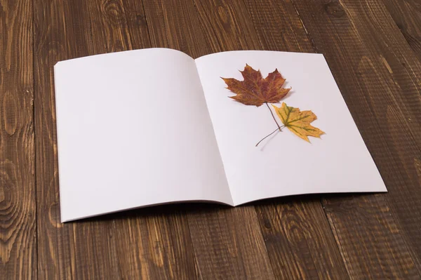 With a dried leaf is a sheet of paper — Stock Photo, Image