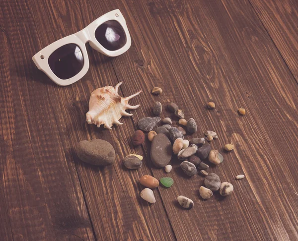 Shells with sunglasses — Stock Photo, Image