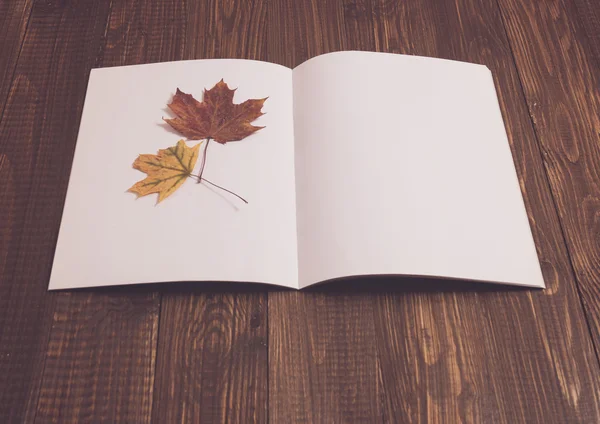 Feuilles séchées avec une feuille — Photo