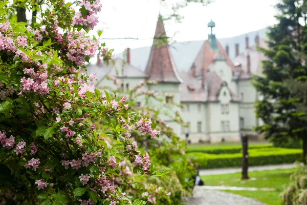 Bekijken van oude kasteel in de zomer — Stockfoto