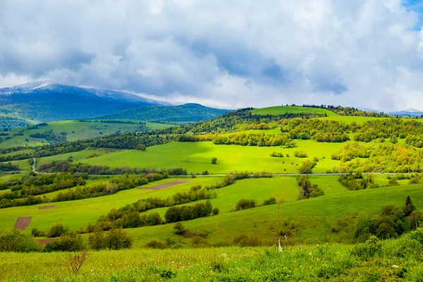 Літня природа з долиною і горами — стокове фото