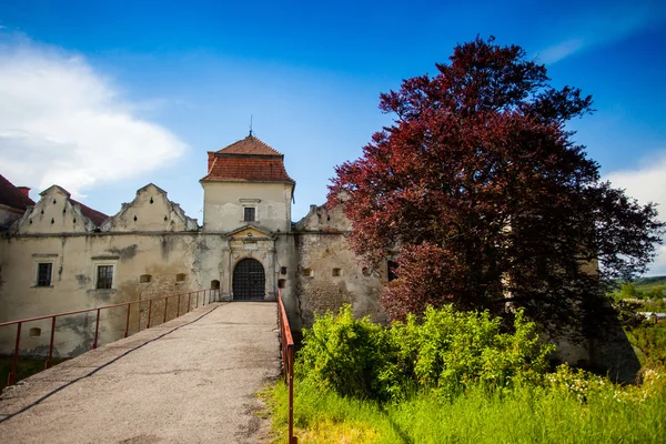 Gamla slott omgivet med sommaren naturen — Stockfoto