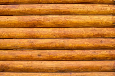 Günlük duvar görünümünü