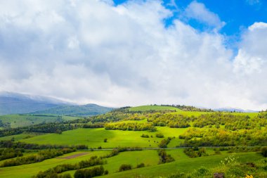 Yaz doğa Vadisi ve dağ