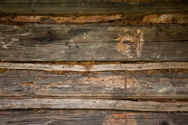Rough texture of wood — Stock Photo, Image