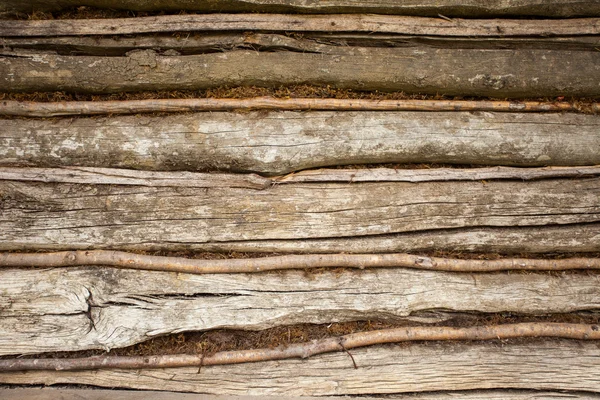 Rough texture of wood — Stock Photo, Image