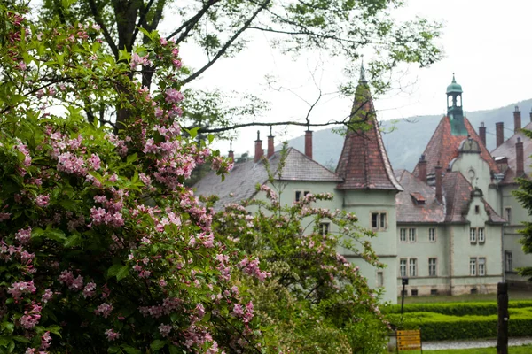 View of old castle in summer — Stock Photo, Image