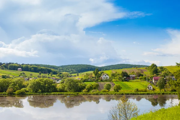 Fiume con riflesso di alberi e natura estiva — Foto Stock