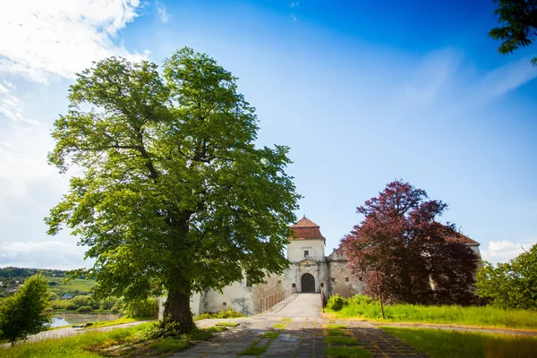 Oud kasteel omringd met de zomer natuur — Stockfoto