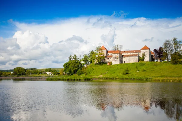 Старый замок в окружении летней природы — стоковое фото