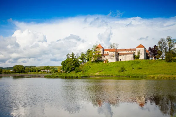 Vecchio castello circondato dalla natura estiva — Foto Stock