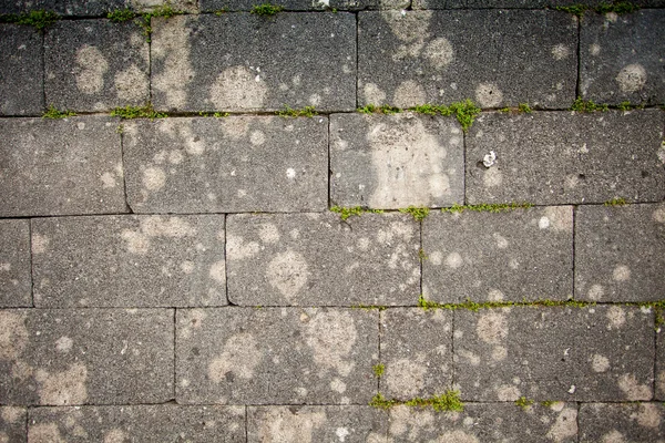 Slakken blok grondoppervlak — Stockfoto