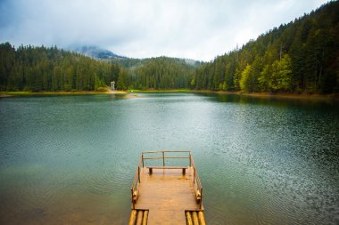 Güzel göl ve orman