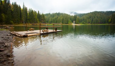 Güzel göl ve orman