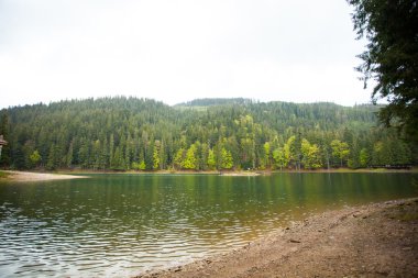 Güzel göl ve orman çevresinde
