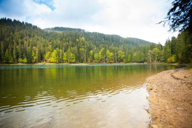 Güzel göl ve orman çevresinde