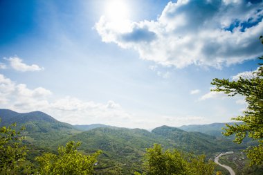 Yeşil dağ harika toplayan