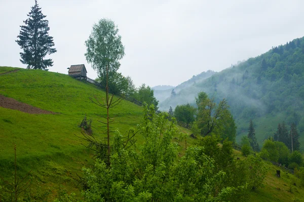 Natura estiva con collina, alberi e nebbia — Foto Stock