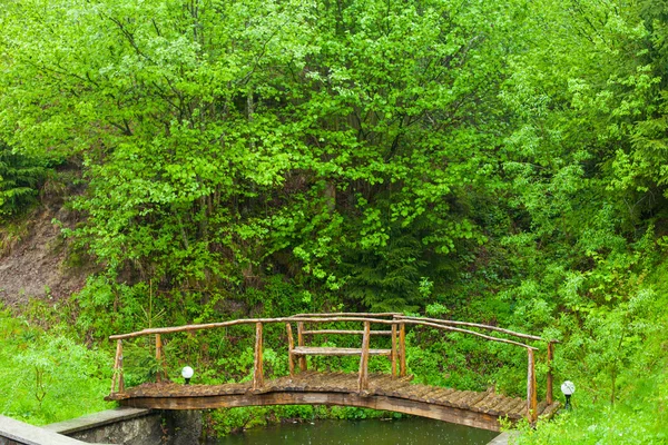 Träbro omgiven av gröna träd — Stockfoto