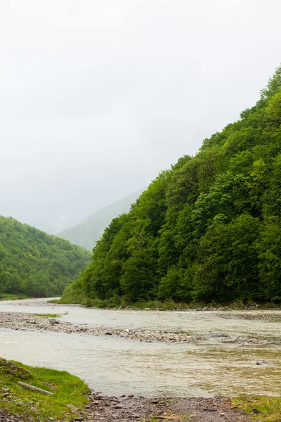 2913 偏平の川と緑の丘 — ストック写真