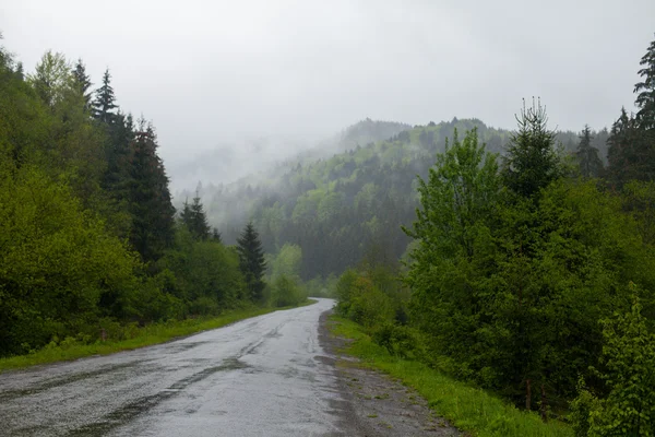 Paisagem de verão e estrada molhada — Fotografia de Stock