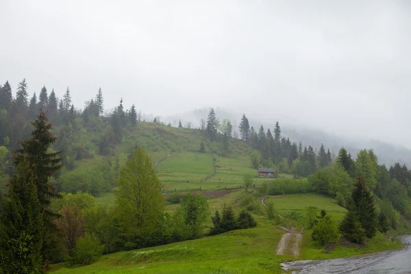 Floresta entre colinas cercada por névoa espessa — Fotografia de Stock