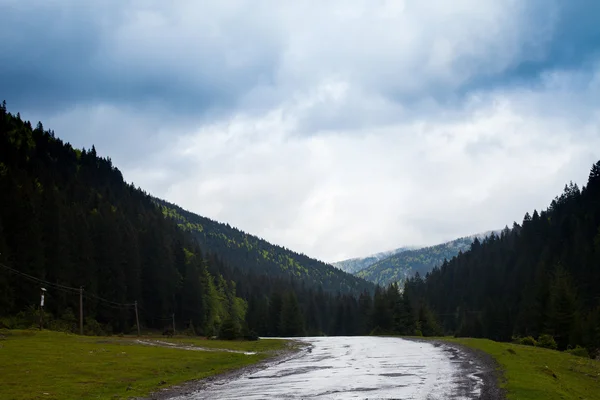 Paisagem de verão e estrada molhada — Fotografia de Stock