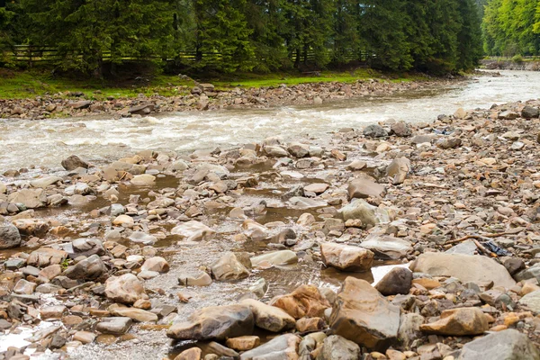 River in the forest — Stock Photo, Image