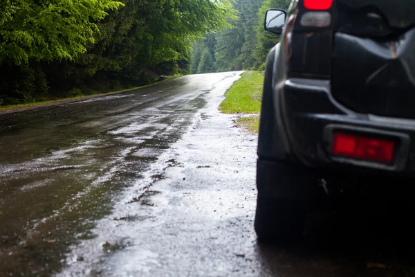 Coche y carretera húmeda en el bosque de verano —  Fotos de Stock