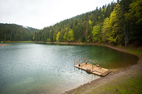 Beau lac et forêt — Photo