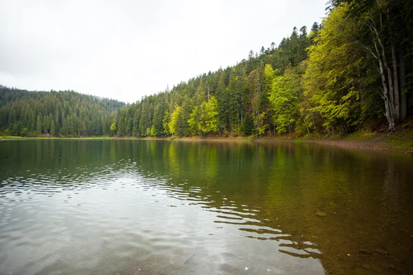 Bellissimo lago e foresta — Foto Stock