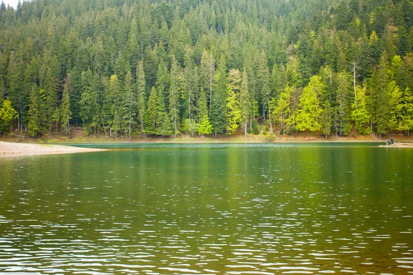 Prachtig meer en bos eromheen — Stockfoto