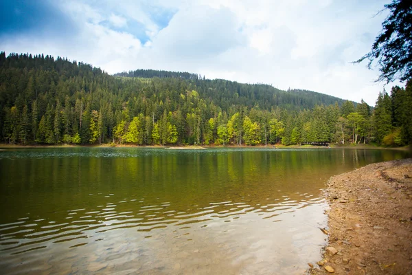 Bellissimo lago e foresta intorno ad esso — Foto Stock