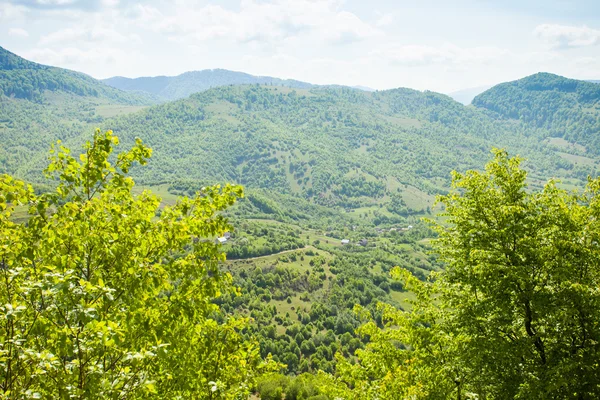 Meraviglioso scenario di montagna verde — Foto Stock