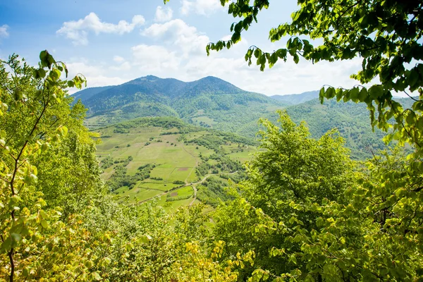 Meraviglioso scenario di montagna verde — Foto Stock