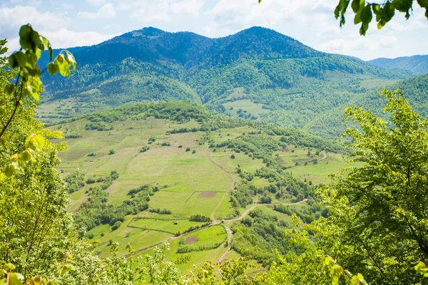Underbara landskap av gröna moutain — Stockfoto