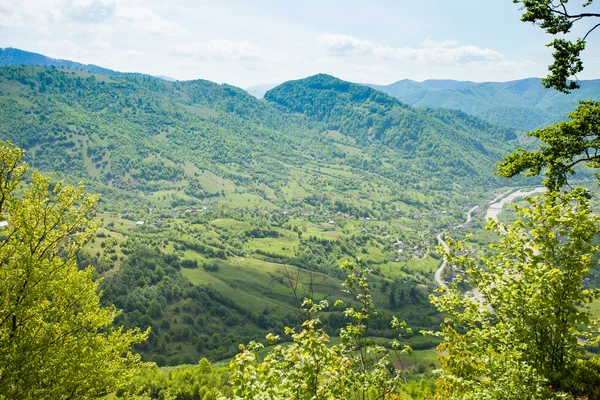 Meraviglioso scenario di montagna verde — Foto Stock