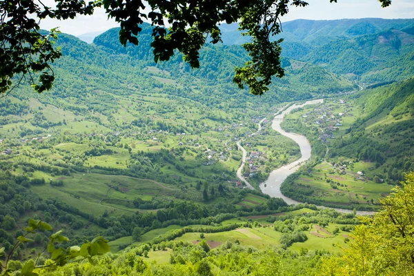 Yeşil dağ harika toplayan — Stok fotoğraf