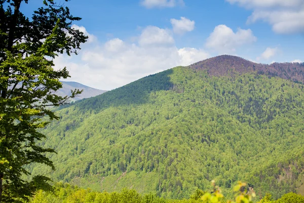 Maravilloso paisaje de montaña verde — Foto de Stock