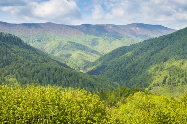 Montaña hermoso paisaje — Foto de Stock