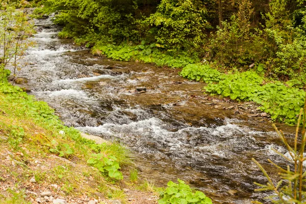 Річка тече вниз за течією — стокове фото