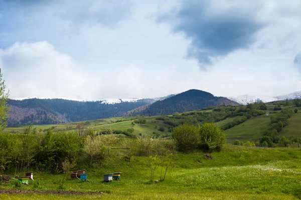 Krásné scenérie s modrou oblohou — Stock fotografie