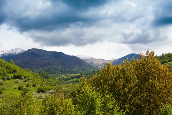 Vacker natur med blå himmel — Stockfoto