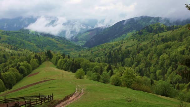 아름 다운 산의 경치 — 비디오