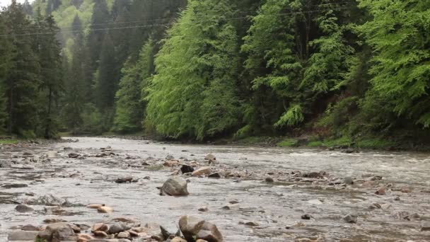 Paisagem fluvial de tirar o fôlego — Vídeo de Stock